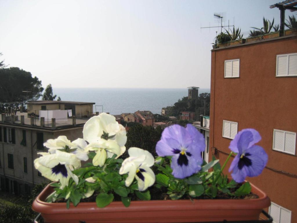 Villa Cristina Monterosso al Mare Dış mekan fotoğraf
